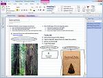 Microsoft Office OneNote 2010